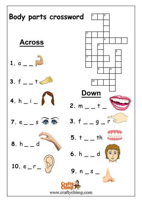 part of the body crossword clue